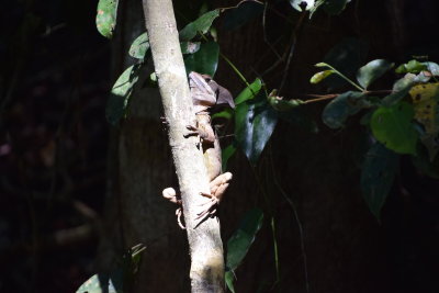 DSC_8809.JPG