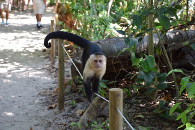 DSC_8855.JPG