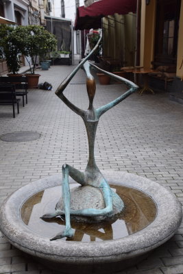 DSC_0222.JPG