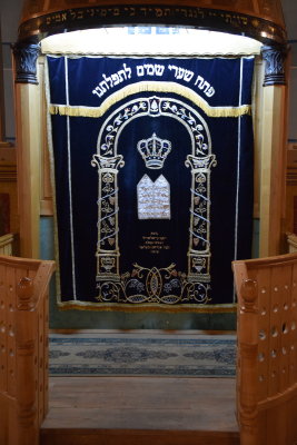 DSC_0233.JPG