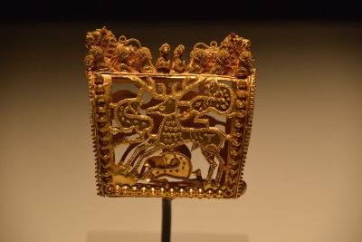 DSC_0416.JPG