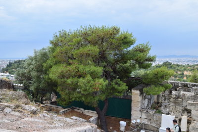 DSC_1787.JPG