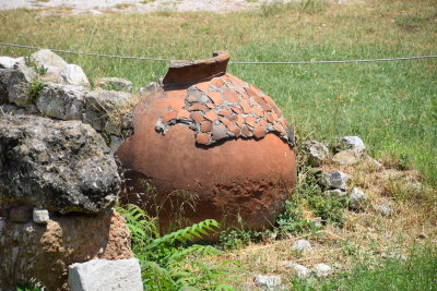 DSC_1835.JPG