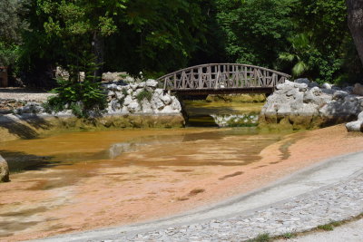 DSC_1874.JPG