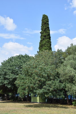 DSC_1891.JPG