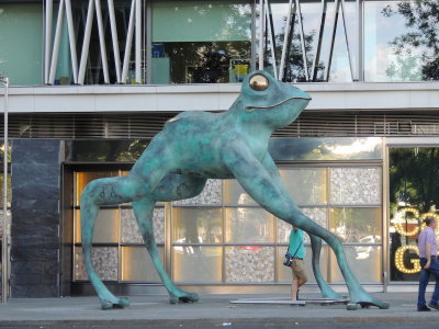 DSCN8595.JPG