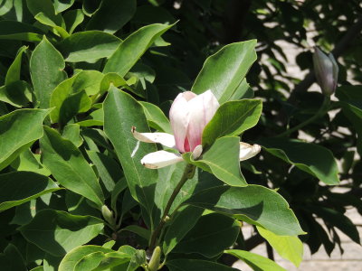 DSCN8984.JPG