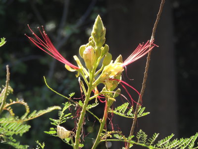 DSCN9003.JPG
