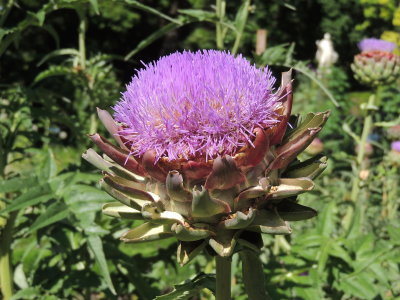 DSCN9014.JPG