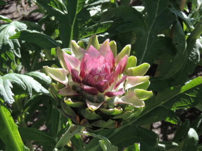 DSCN9015.JPG