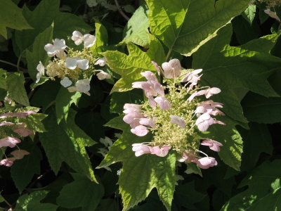 DSCN9023.JPG
