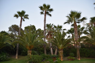 DSC_2049.JPG