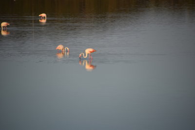 DSC_2090.JPG