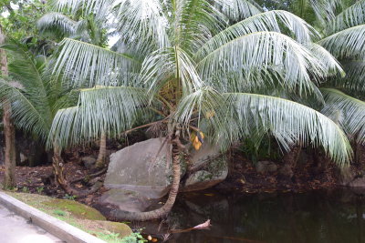 DSC_2420.JPG