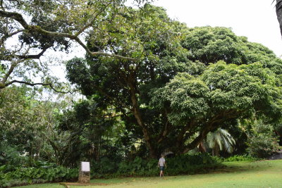DSC_2485.JPG