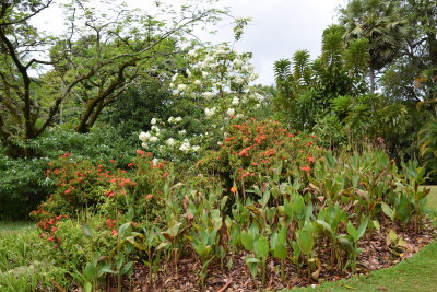 DSC_2489.JPG