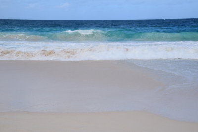 DSC_2550.JPG
