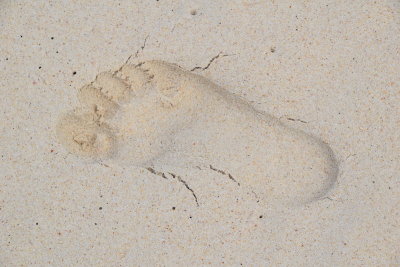 DSC_2562.JPG