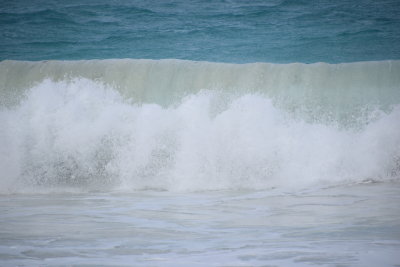DSC_2567.JPG