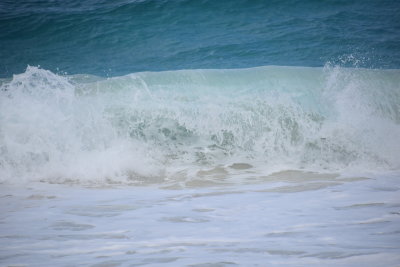 DSC_2569.JPG
