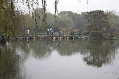 DSC_3560.JPG