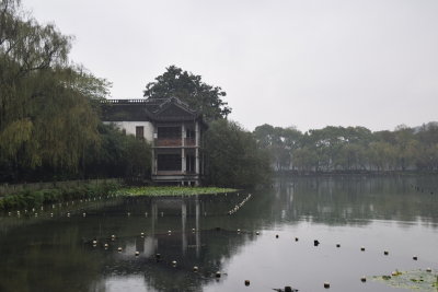 DSC_3563.JPG