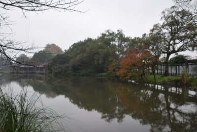 DSC_3569.JPG