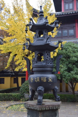 DSC_3998.JPG