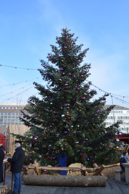 DSC_4702.JPG