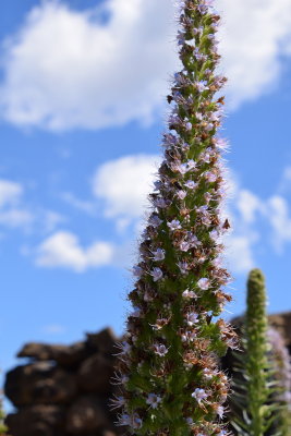 DSC_5834.JPG