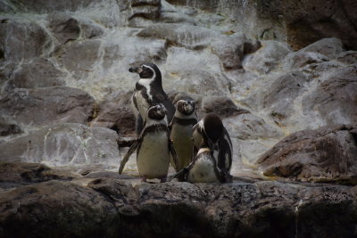 DSC_5876.JPG