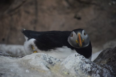 DSC_5888.JPG