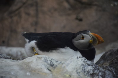 DSC_5889.JPG
