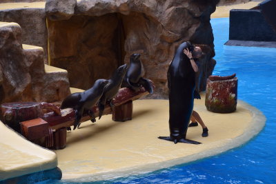DSC_5912.JPG