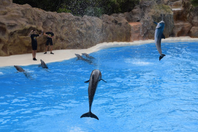 DSC_5937A.jpg