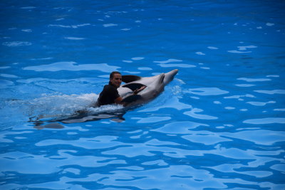 DSC_5940.JPG