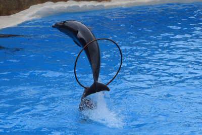 DSC_5958A.jpg
