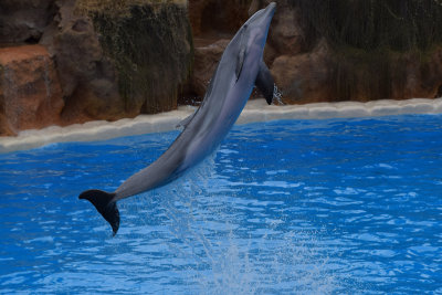 DSC_5964A.jpg