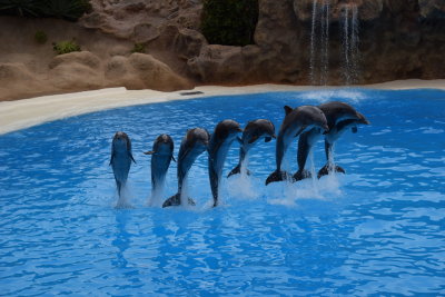 DSC_5973.JPG