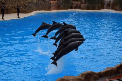 DSC_5976.JPG