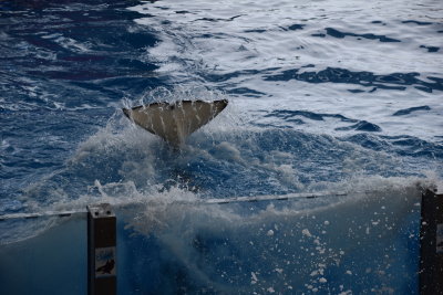 DSC_5988.JPG