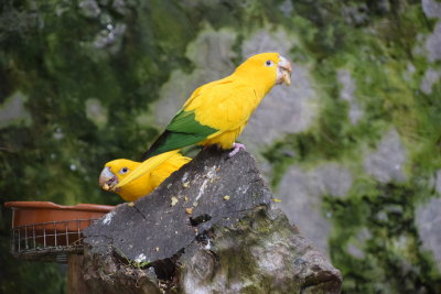 DSC_6011.JPG