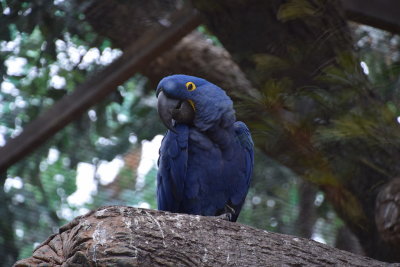 DSC_6030.JPG