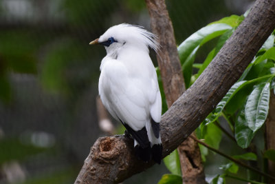 DSC_6037A.jpg