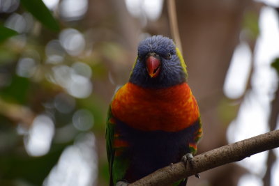 DSC_6058.JPG