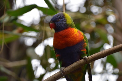 DSC_6061.JPG