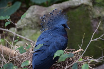 DSC_6064.JPG