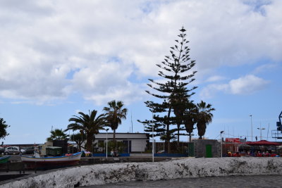 DSC_6072.JPG