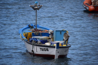 DSC_6078.JPG