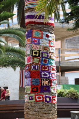 DSC_6083.JPG